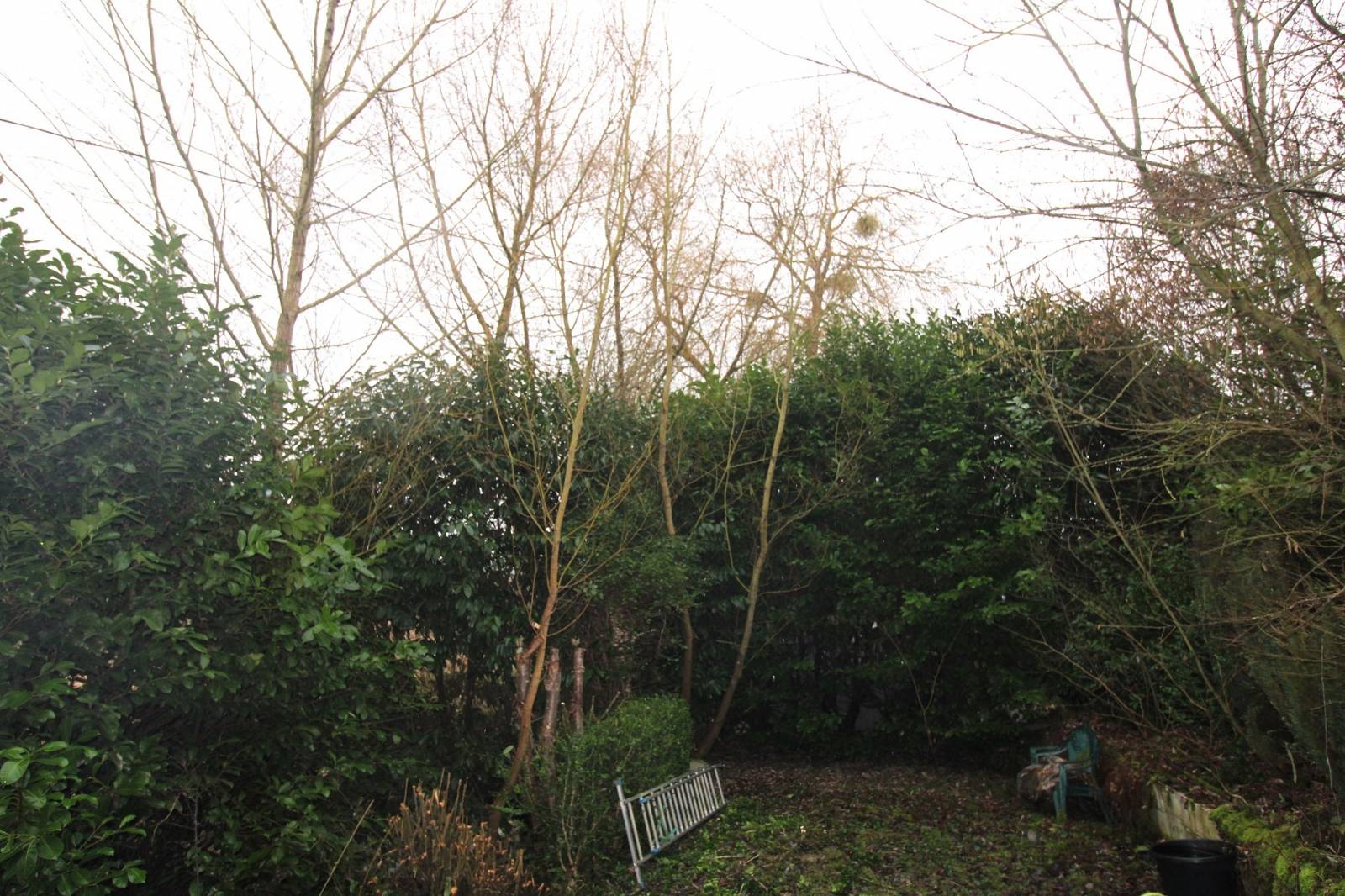 Terrain de loisirs - Proche Tôtes avec cabanons 543 m²