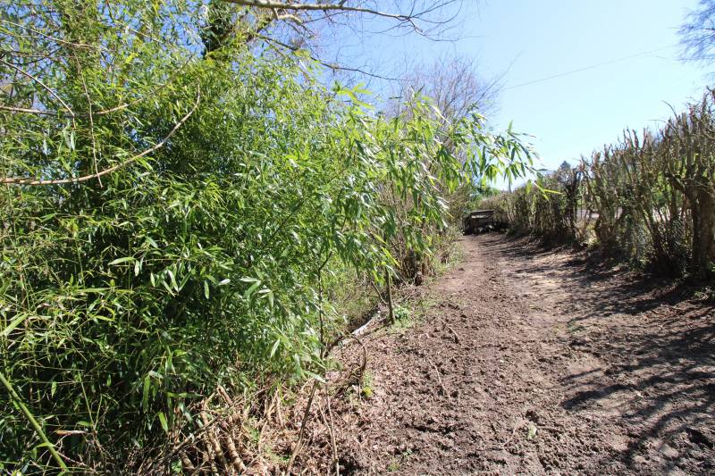 Terrain de loisirs - Proche Tôtes avec cabanons 543 m²